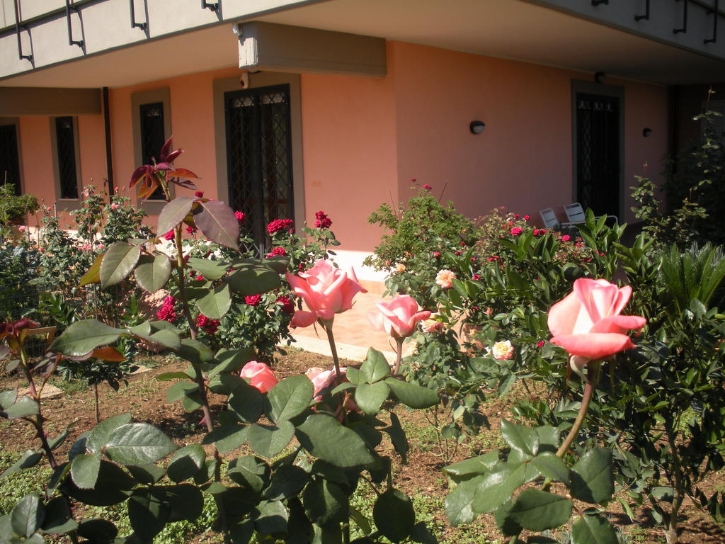 Flores Rom
