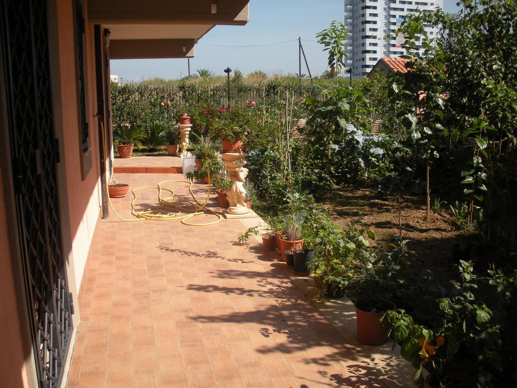 Flores Rom