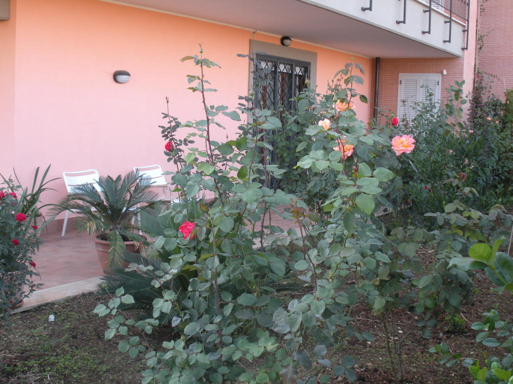 Flores Rom